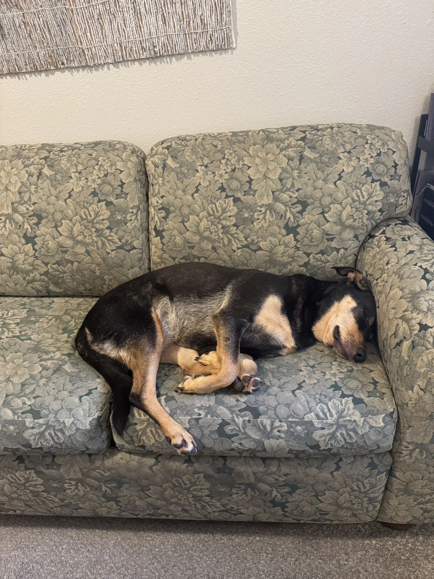 Gia napping