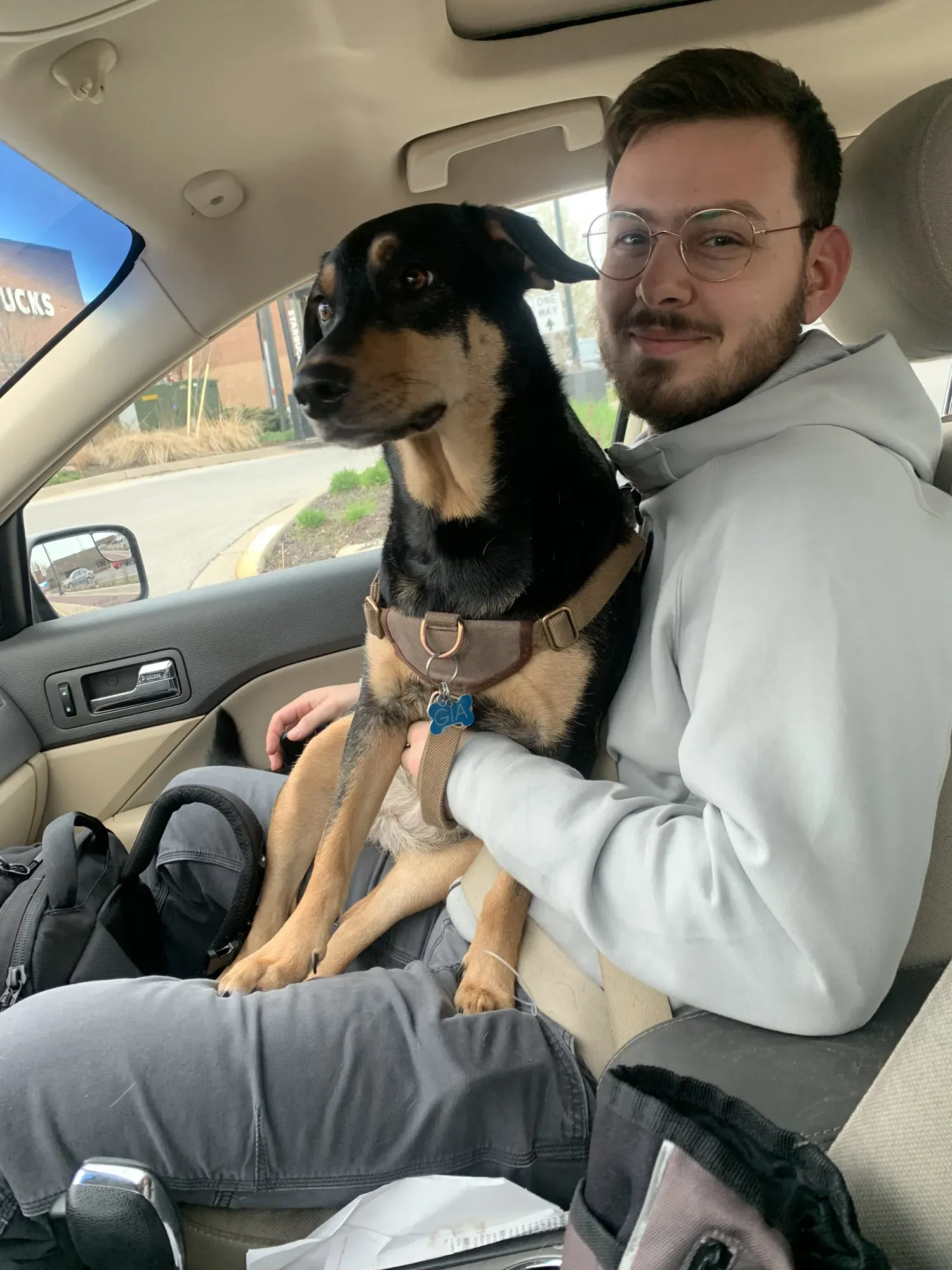 Gia as a lapdog