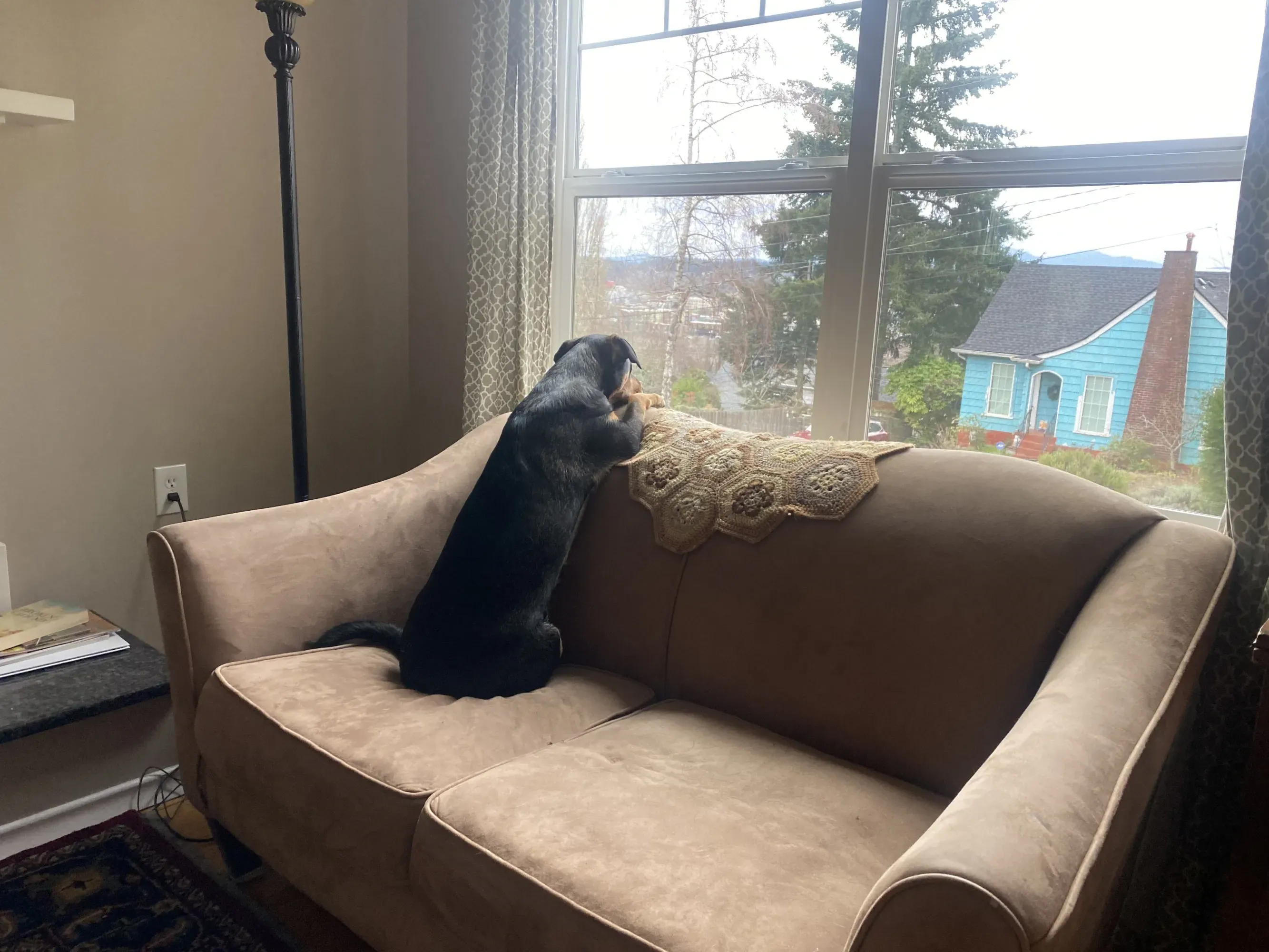 Gia looking out the window